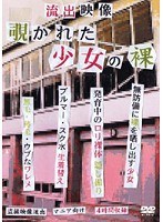 占位图
