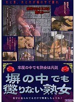 占位图