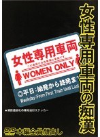Molestation Of Women-only Car