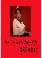 Big Saddle Seina Station 2 Please