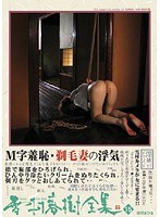 占位图