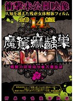 [MAX-002] マッドマックス（魔駑痲齲巣） 弐