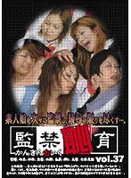 占位图
