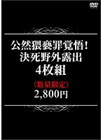 占位图
