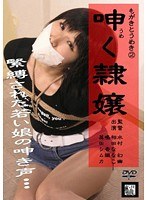 占位图