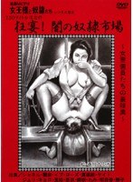 占位图