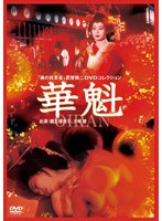 占位图