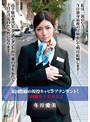 某国際線の現役キャビンアテンダント!2枚組DVDBOX
