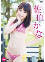 かなぶんぶん気分/佐伯かな
