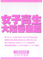 占位图