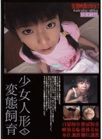占位图