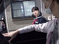 サンプル画像