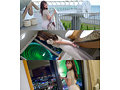 写真1