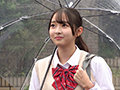 つぼみ