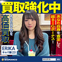ERIKA