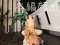 ありす 2