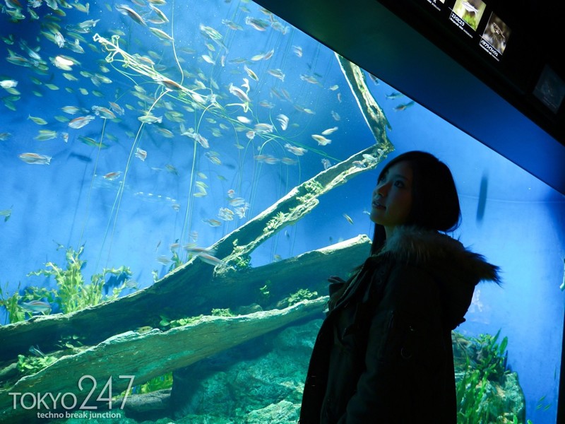 TOKYO-199 第 1 部分 - 30 分钟