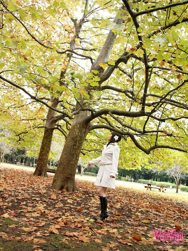 VINVIN-119 第 5 部分 - 78 分钟