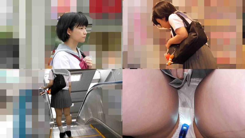 Y-004 第 1 部分 - 30 分钟