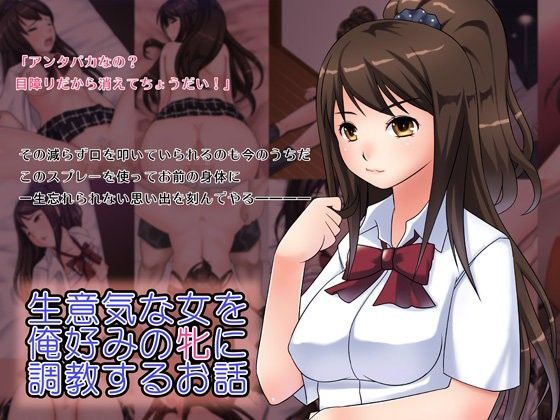 生意気な女を俺好みの牝に調教するお話のジャケット