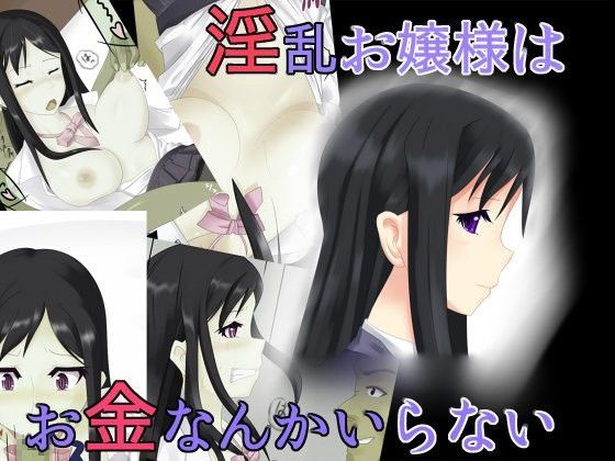 淫乱お嬢様はお金なんかいらないのジャケット