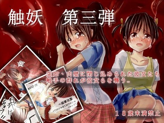 触妖 第三弾