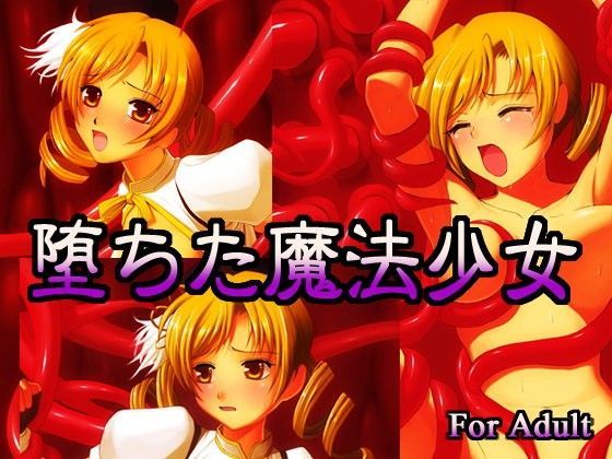 堕ちた魔法少女のジャケット