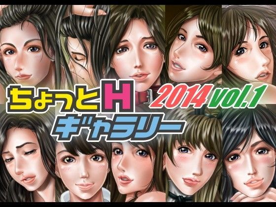 ちょっとHギャラリー 描き下ろしレイヤー付CG集 2014年 Vol.1