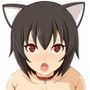 生意気なけもみみ娘に媚薬を盛る d_077649のパッケージ画像 生意気なけもみみ娘に媚薬を盛る d_077649のパッケージ画像