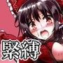 不健全むちま縛り弐ノ巻 d_107281のパッケージ画像 不健全むちま縛り弐ノ巻 d_107281のパッケージ画像