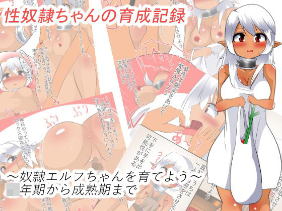 性奴隷ちゃんとの育成記録無料サンプル画像