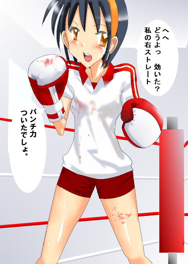 サンプル画像2:ミックスボクシングCG集 [作品ID:d_129611]