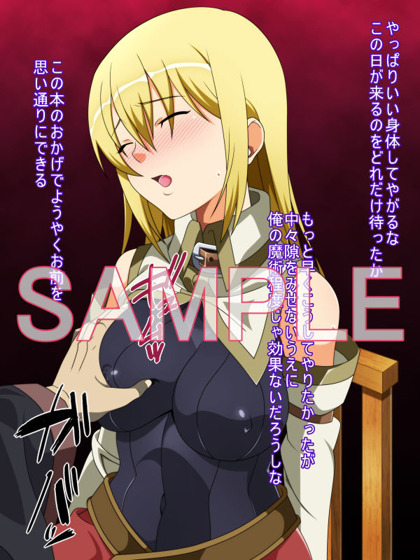 サンプル画像1:女騎士の条件II [作品ID:d_130041]