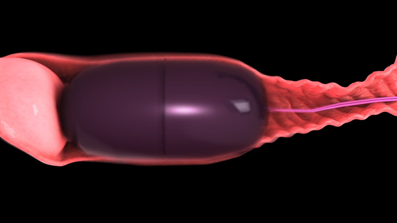 サンプル画像6:パワリバラ(Tied Peach) [d_132248]