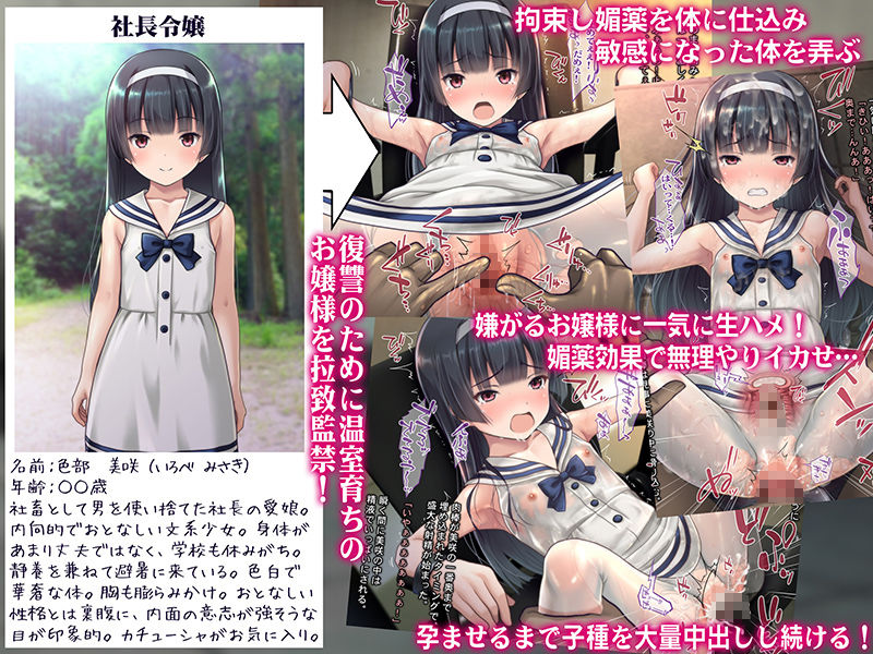 サンプル画像1:【今だけ特典付！】お嬢様監禁媚薬レイプ ～ブラック企業の社畜が復讐のため社長の娘を専用オナホールにして孕ませた話～ (Sage) [d_132814]