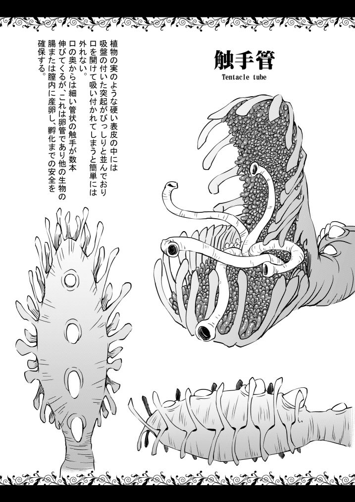 サンプル画像1:触手図鑑 [作品ID:d_132846]