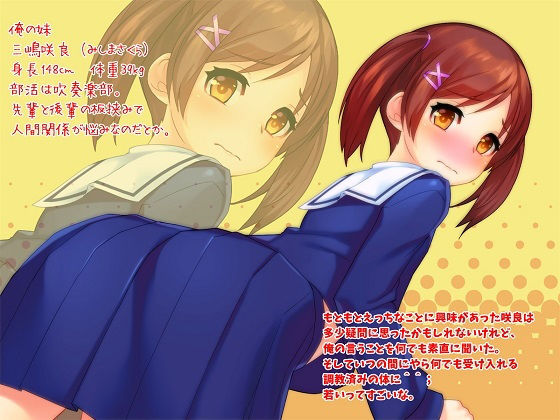 素直で従順な妹はお好きですか?画像no.1