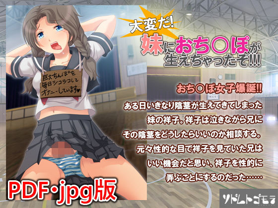 【PDF・jpg】大変だ!妹におち○ぽが生えちゃったぞ!!!無料サンプル画像