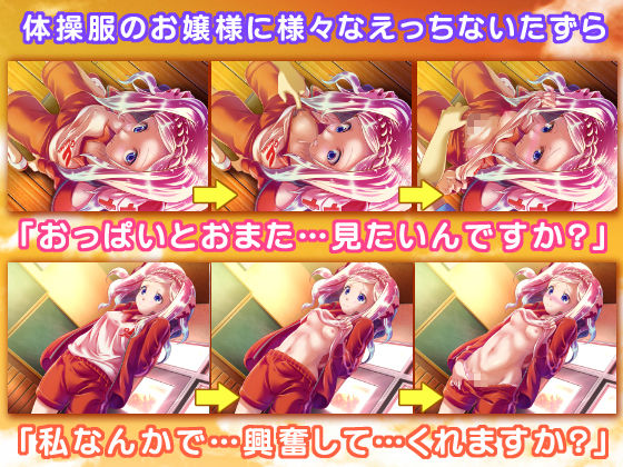 サンプル画像2:体操服とお嬢様 (ほぷほぷチーム) [d_135139]