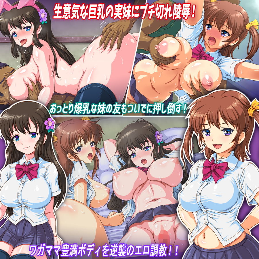 サンプル画像1:巨乳な妹ビッチを淫虐調教ツインパック (さむらい一家) [d_135671]