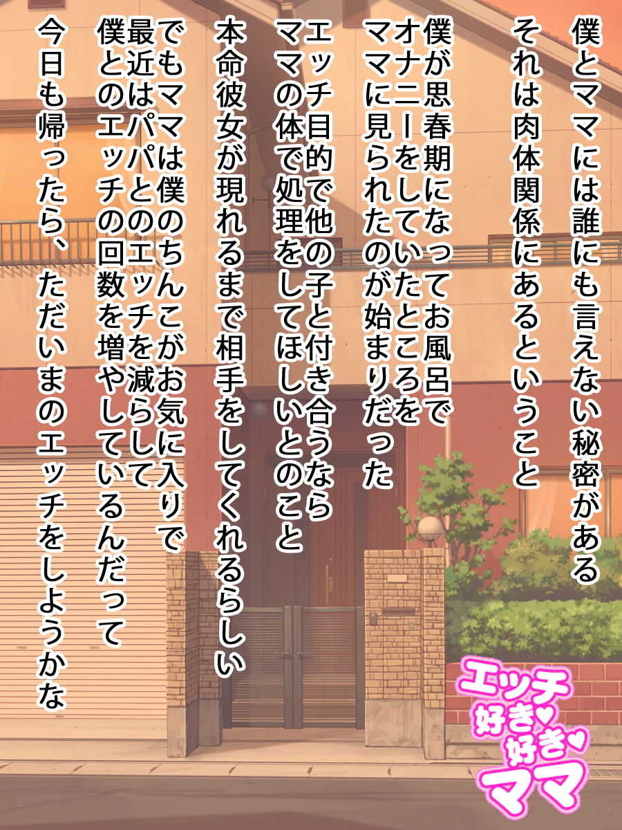 サンプル画像2:母子相姦セックス (武華家) [d_135908]