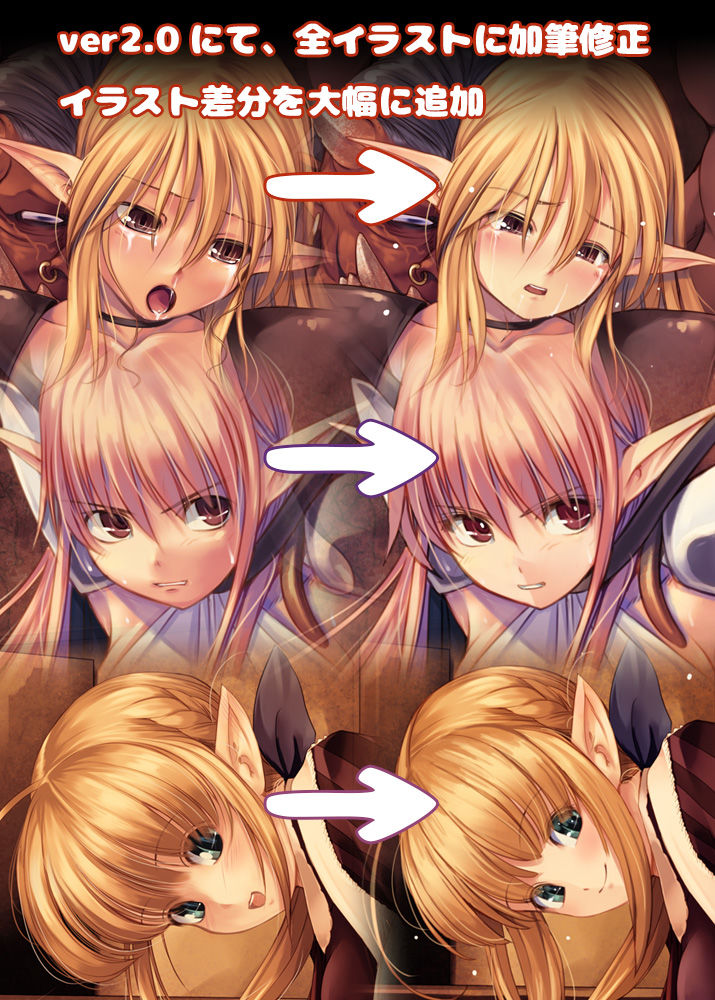 サンプル画像5:アレム画館エルフ本セットパック・スマッシャー・スカージ・カルネージ(アレム画館) [d_137893]