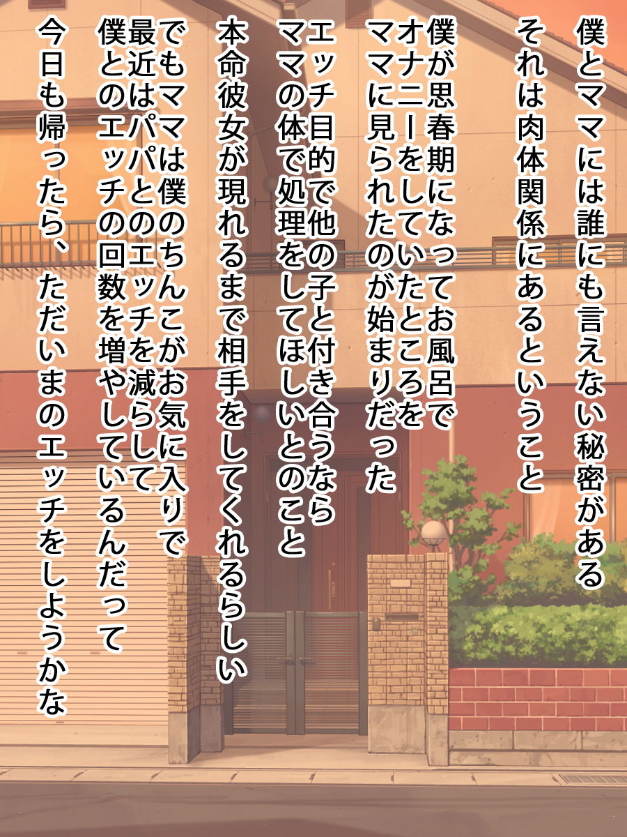 サンプル画像2:ママと近親相姦（人気同人2作セット）(Kitakaze) [d_138250]