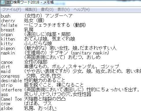 サンプル画像2:エロ英単語検索ワード集(検索エロワード) [d_141063]