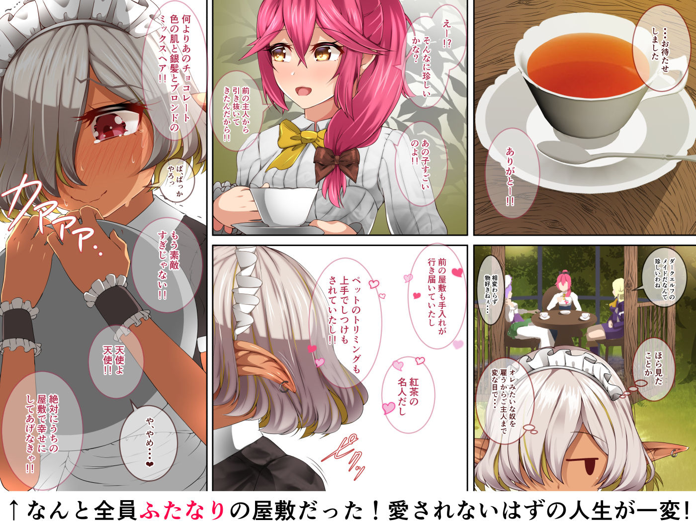 サンプル画像2:不良ふたなりダークエルフメイドさんは本当は愛されたい(朝風の雫) [d_141226]