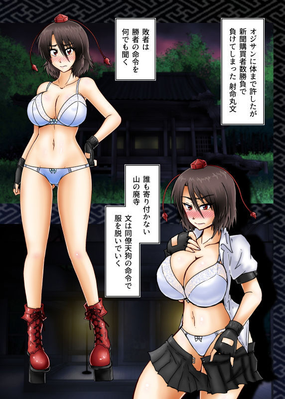 サンプル画像4:射命丸文の販促(和がらし屋) [d_147258]