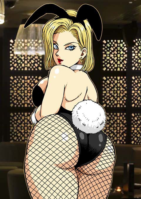 サンプル画像1:18号とブルマのバニーガールに乾杯！(マカロニ組) [d_147478]