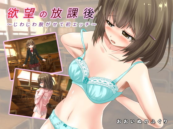 欲望の放課後~じわじわ脱がせて初エッチ~無料サンプル画像