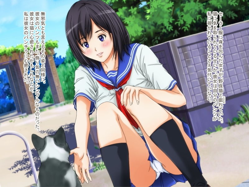 サンプル画像1:パンチラ目撃日誌(パープルドリーム) [d_148354]