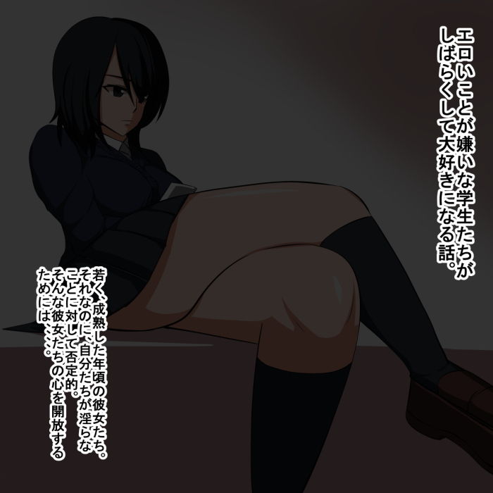 サンプル画像1:dk(s) [d_148516]